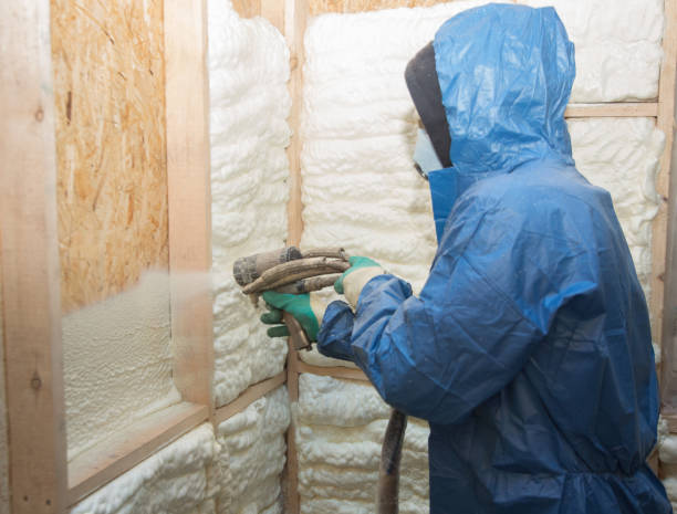 Best Attic Insulation Installation  in Waupun, WI